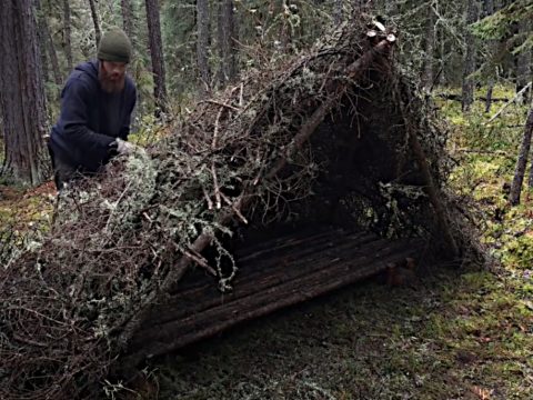 Ein Bushcraft Shelter bauen