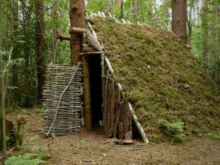 Einen Shelter aus Holz & Reisig bauen STAY WILD OUTDOOR
